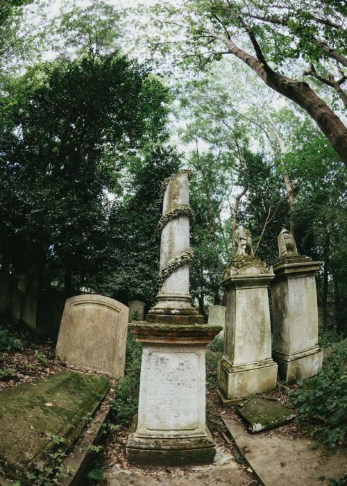 annie-spratt-4ha6J3j9zBg-unsplash