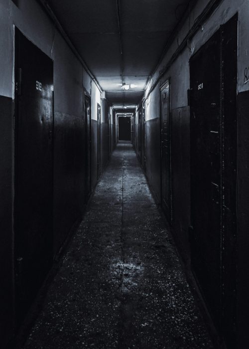 egor-litvinov-T0FXa1jSrSk-unsplash