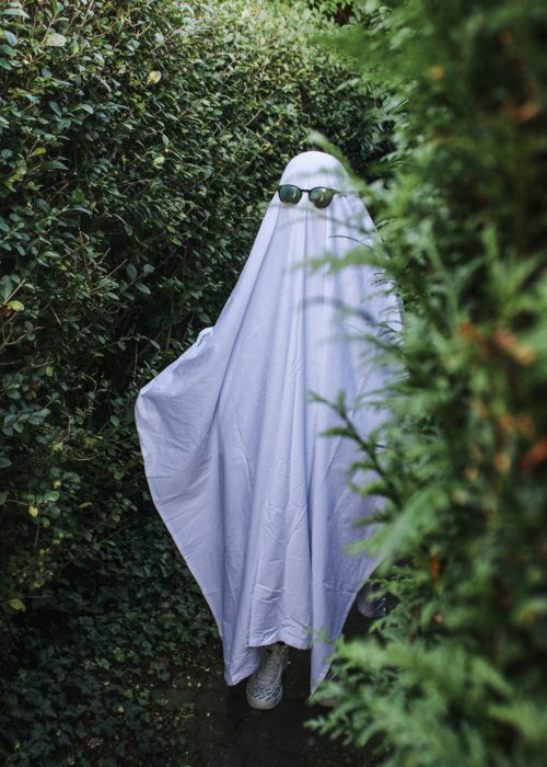 febe-vanermen-Sqv-q20nV_Y-unsplash