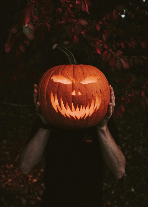 rick-monteiro--XUGYfWq9IU-unsplash
