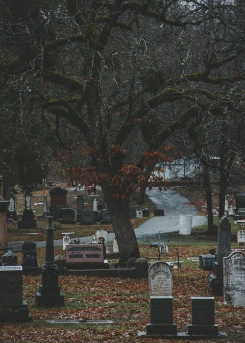 zach-lezniewicz-pf2TNBEmbjU-unsplash